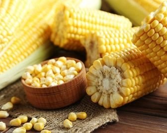 Беларусь запустила производство биопакетов из кукурузы