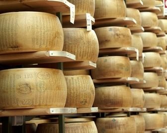 В Бурятии появилась первая частная сыроварня