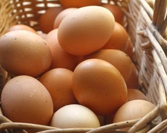Одно яйцо в день помогает детям оставаться здоровыми