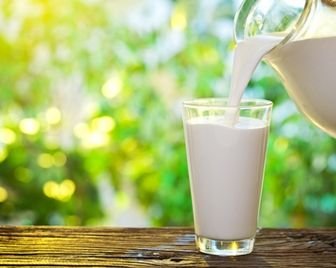Молоко жирафа может стать новым суперпродуктом