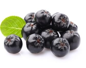 Черноплодная рябина – новый суперпродукт 2019 года