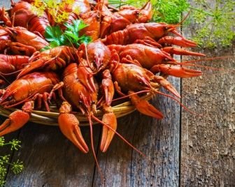 В Башкортостане состоялся фестиваль ловли раков