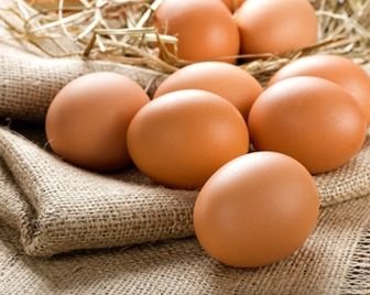 Устройство хранения данных из яичной скорлупы