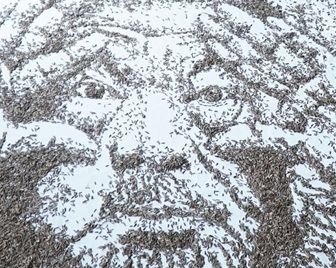 Портрет революционера из 20 000 семечек