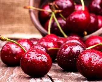 В Кузбассе пройдет вишневый фестиваль